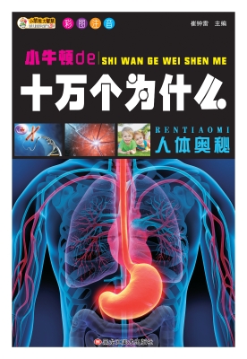 人体奥秘