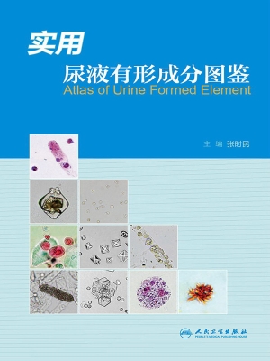 实用尿液有形成分图鉴
