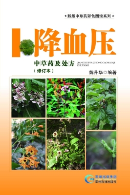 降血压中草药及处方