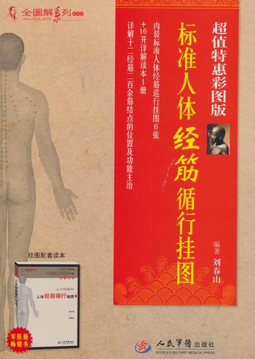 标准人体经筋循行挂图