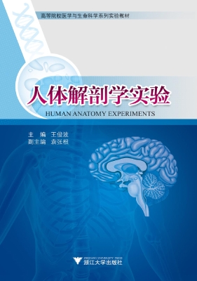 人体解剖学实验