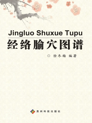 经络腧穴图谱