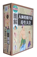 图解人体经络穴位养生