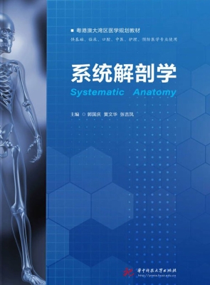 系统解剖学
