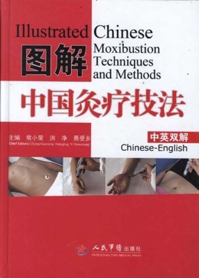 图解中国灸疗技法