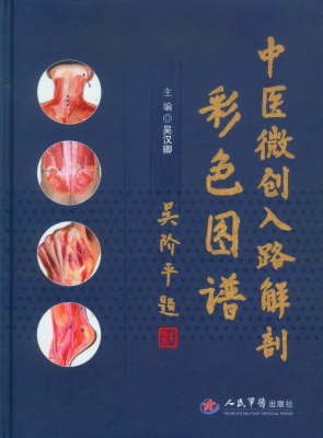 中医微创入路解剖彩色