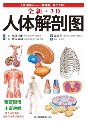全新3D人体解剖图