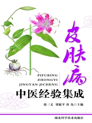 皮肤病中医经验集成