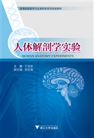 人体解剖学实验