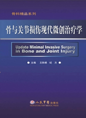 骨与关节损伤现代微创