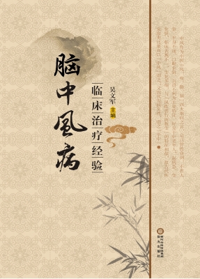 脑中风病临床治疗经验