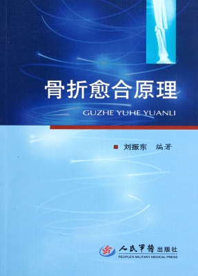 骨折愈合原理