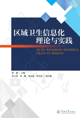 区域卫生信息化理论与