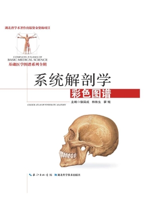 系统解剖学彩色图谱