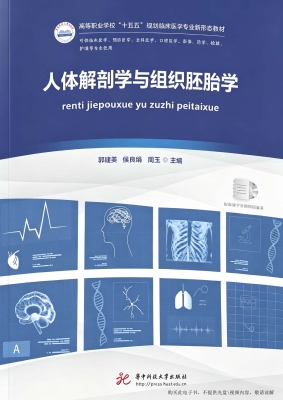 人体解剖学与组织胚胎