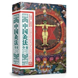 中国灸法全书：典藏精品