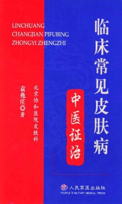 临床常见皮肤病中医证