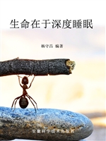 生命在于深度睡眠