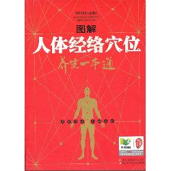 图解人体经络穴位养生