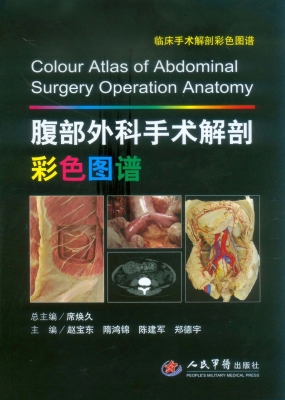 腹部外科手术解剖彩色