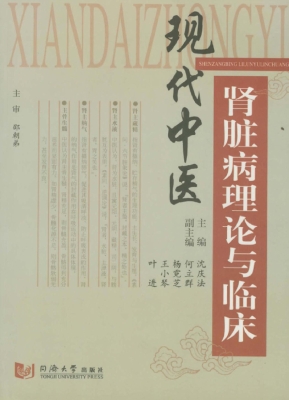 现代中医肾脏病理论与