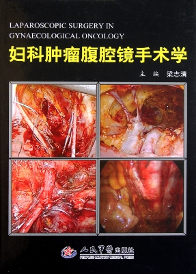 妇科肿瘤腹腔镜手术学