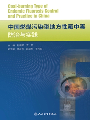 中国燃煤污染型地方性
