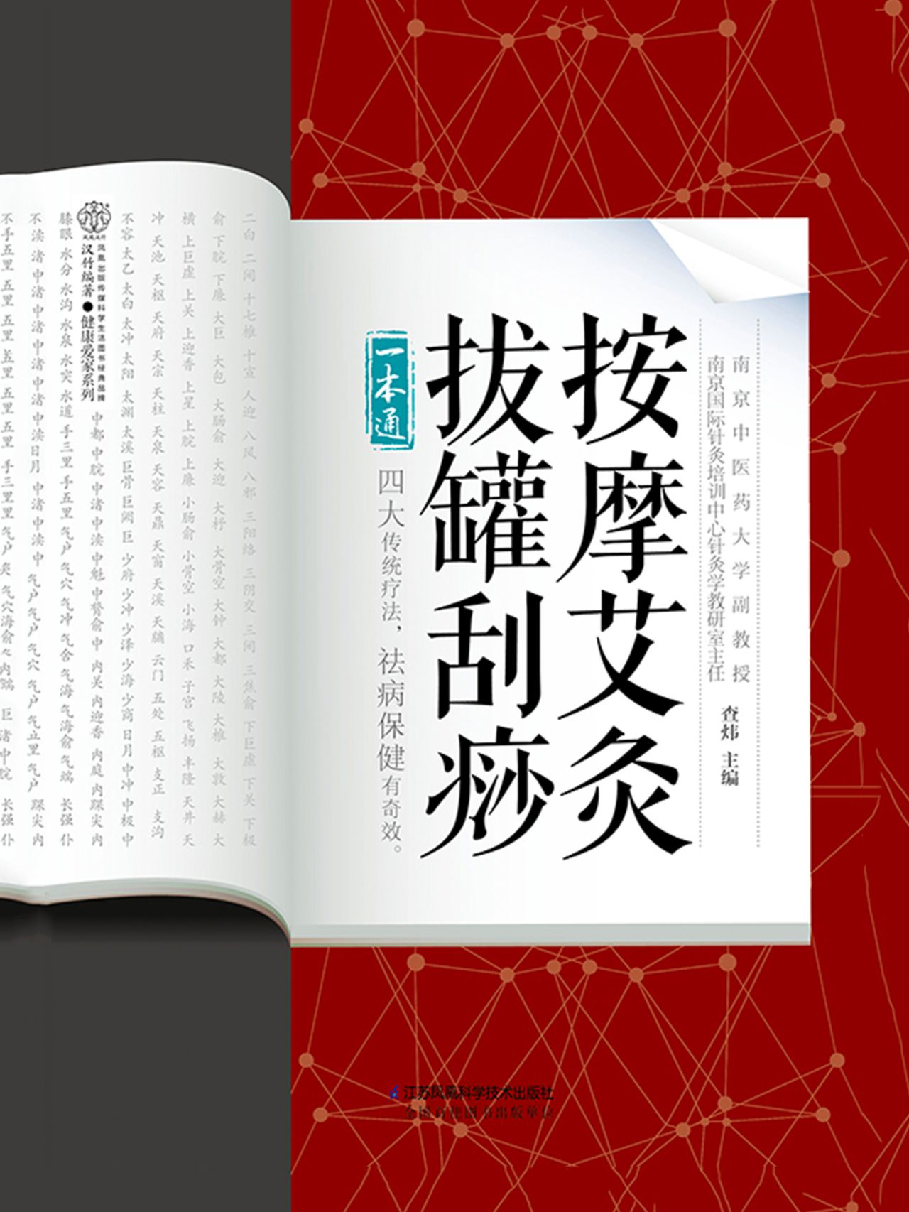 按摩艾灸拔罐刮痧一本