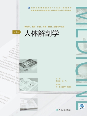 人体解剖学