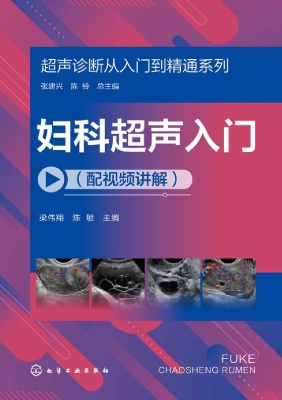 妇科超声入门（配视频讲