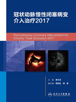 冠状动脉慢性闭塞病变