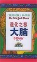 造化之极——大脑