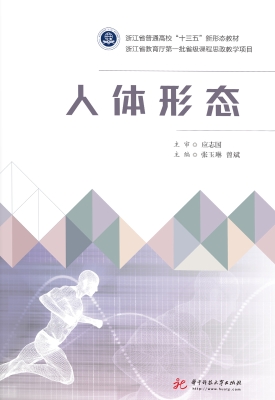 人体形态