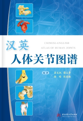 汉英人体关节图谱