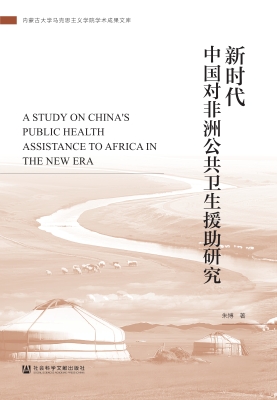 新时代中国对非洲公共
