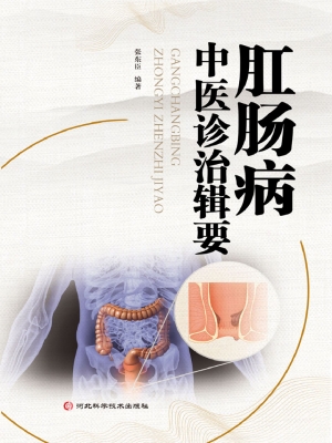 肛肠病中医诊治辑要