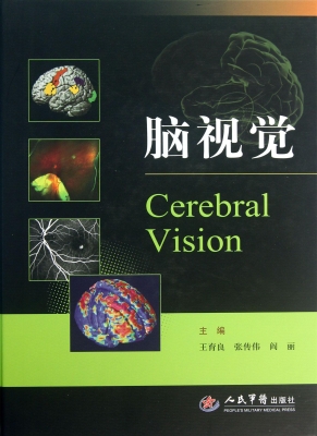 脑视觉