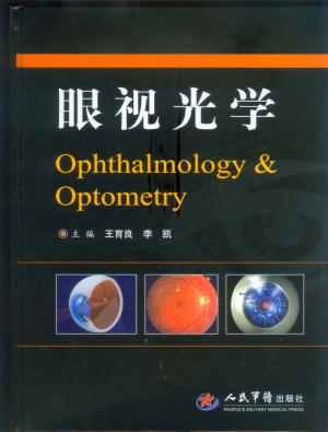 眼视光学