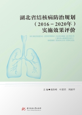 湖北省结核病防治规划