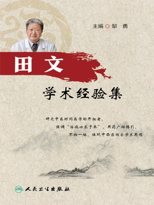 田文学术经验集