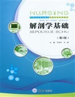 解剖学基础