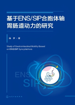 基于ENS/SIP合胞体轴