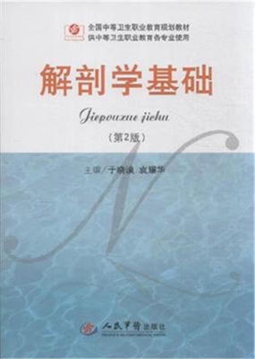 解剖学基础