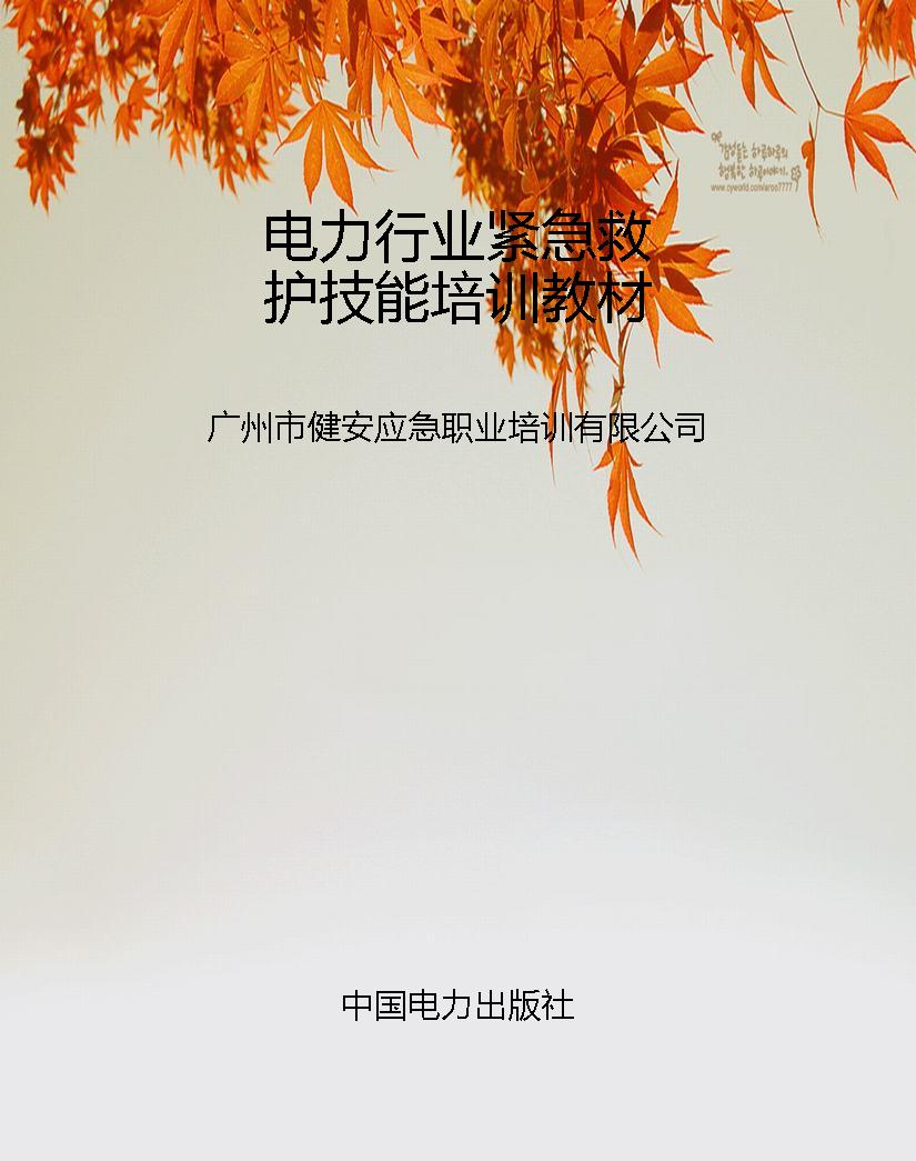 电力行业紧急救护技能