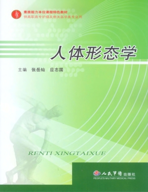 人体形态学