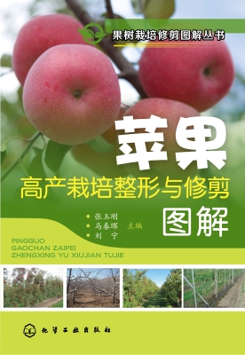 苹果高产栽培整形与修