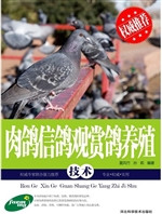 肉鸽 信鸽 观赏鸽养殖