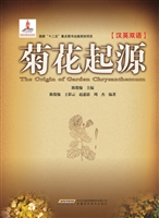 菊花起源