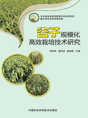 谷子规模化高效栽培技