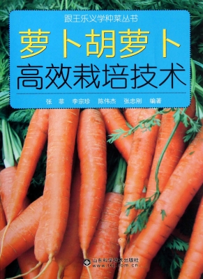 萝卜胡萝卜高效栽培技